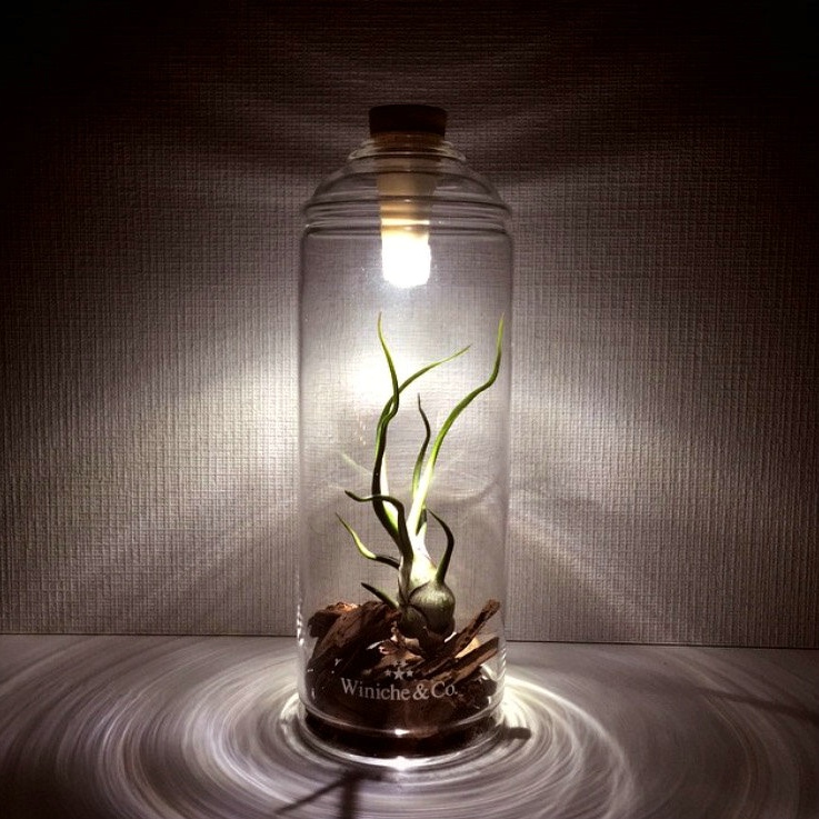 bottle-light-7